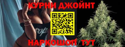 шишки Гусиноозёрск
