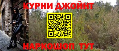 шишки Гусиноозёрск